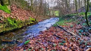 Stress Free - Relaxation Sounds for Positive Thinking - Calm and Relax. The sound of the river.