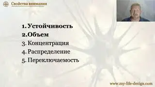 Каким должно быть внимание, чтобы обучаться очень быстро