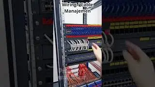 Cabling / Wiring / Manajemen Kabel - Pentingnya belajar manajemen kabel dalam jaringan komputer