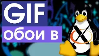 🎞️ GIF на обоях в Linux Xorg