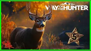 WHITETAIL Week | Five Stars & Rares | Way Of The Hunter