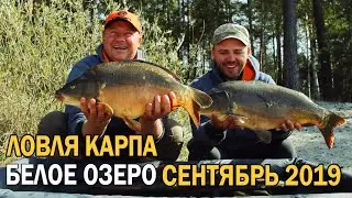 Ловля карпа. На дикое озеро за дикими карпами