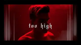 harley bird - too high (official lyric video)