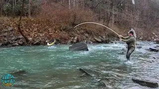 I FOUND A GIANT TROUT!! (Streamer Fly Fishing For Brown Trout)