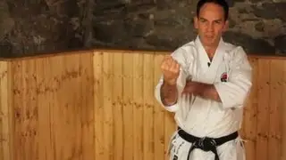 How to Do a Reverse Punch | Karate Lessons