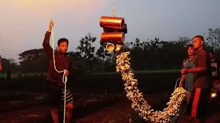 Pensiun Dini 2019 Ora Ngumbulke Balon