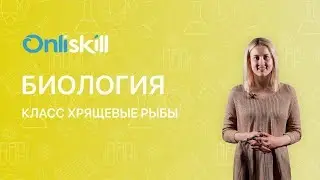 БИОЛОГИЯ 7 класс:  Класс Хрящевые рыбы | Видеоурок