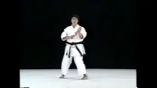 Шито-рю каратэ.Ката Сэйсан.Seisan Shito Ryu karate