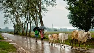 भारत के आगे बढ़ते ग्रामीण क्षेत्र।—Hindi Documentary