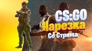 CS:GO | Нарезка со стрима #2