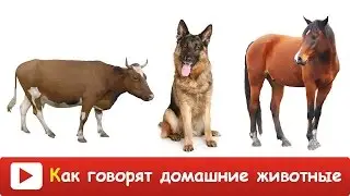 [ КАК ГОВОРЯТ ДОМАШНИЕ ЖИВОТНЫЕ для ДЕТЕЙ] Развивающий МУЛЬТИК для ДЕТЕЙ. Звуки и голоса животных.
