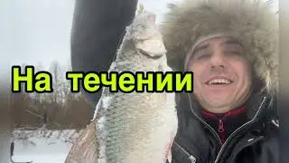 Ловля плотвы на мормышку зимой на течении