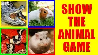 Show me the Rodents and Reptiles Game for Kids - Where is the animal?