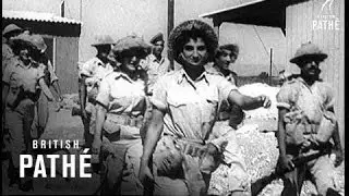 Israel Invades Egypt - Britain Acts (1956)