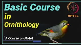 Ornithology Course by NPTEL #swayam