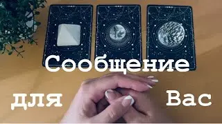 Что Вам нужно знать на данный момент? 🛎️