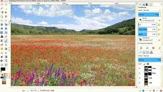 Flowers Wallpaper