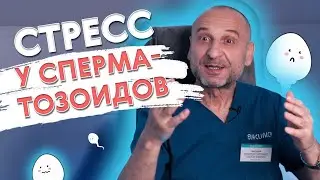 СТРЕСС У СПЕРМАТОЗОИДОВ/Уролог про ROS-тест