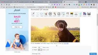 How to source and add an animated banner to your Google Classroom