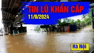 Tin Lũ Tại Hà Nội 11/09/2024. Nước Sông Hồng, Sông Đuống Khu Vực Long Biên #bão_số_3 #yagi