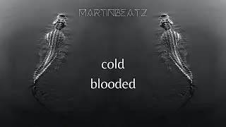 Martinbeatz - Cold Blooded [Melodic House]