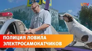 Как безопасно ездить по городу на электросамокате? Оштрафовали даже собаку