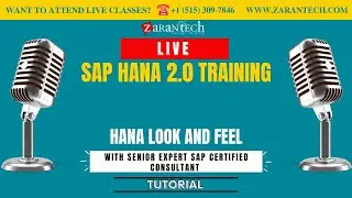 LIVE | Hana Look and Feel | SAP HANA 2.0 Training | ZaranTech