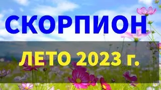 ♏СКОРПИОН. Таро прогноз ЛЕТО 2023 г. Основная энергетика и динамика сезона.