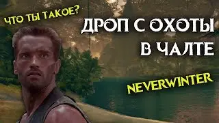 Охота в Чалте | Модуль 12. Neverwinter Online