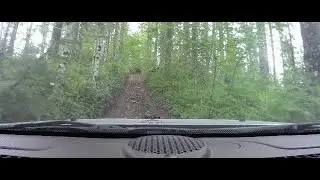 Dashcam view of Jeep Grand Cherokee (WK2) spinning on hill off road on Tillamook Forest Trail Run