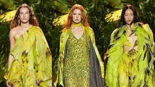 Roberto cavalli Runway Show In Milan Fashion Week Ss2024 Ready To Wear