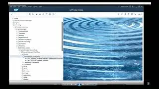 EUM   Learn to Navigate Financial Statements in SAP