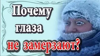 Почему глаза не замерзают