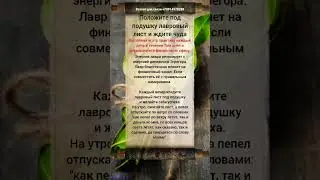 обряд с лавровым листом