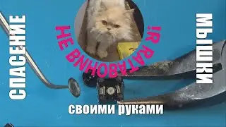 Замена кнопки колёсика беспроводной мыши. Почему выходят из строя кнопки мыши.