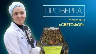 Магазин «Светофор» в Красноярске / «Проверка» ТВК