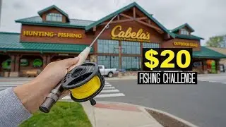 $20 Cabelas FLY Fishing Challenge!! (Surprising!)