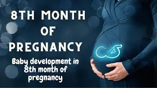 Eighth Month of Pregnancy - Baby Development | Baby development in 8th month of pregnancy