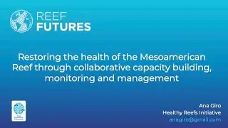 Restoring the Mesoamerican Reef through collaborative capacity building, monitoring and management.