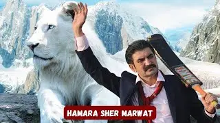 Hamara Sher Marwat new song #sherafzalmarawat #sher #song #newlovesong #newsong