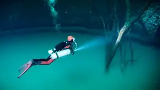 Fish and Eel Receive Toxic Shock!