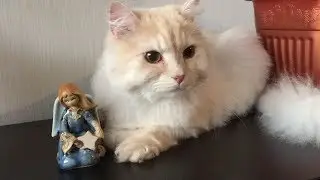 Нафаня не в духе 2