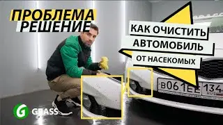 Как убрать следы насекомых на автомобиле?