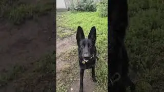 Ей и со мной не скучно😊