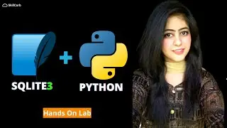 Create Quick Databases with Python and SQL | SQLite Database Tutorial