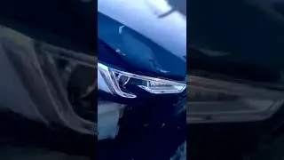 Прости мне придется убить тебя... Ведь только так я буду знать точно