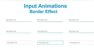 Input Animations With HTML And CSS || Border Effect On Input