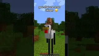 POV: That One Short Villager in Minecraft... (ALL MY FELLAS) 🤯 