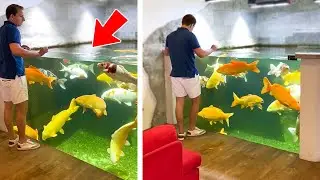 Amazing Indoor Koi Pond!