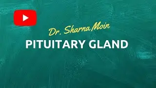 Pituitary Gland- Things you want to know